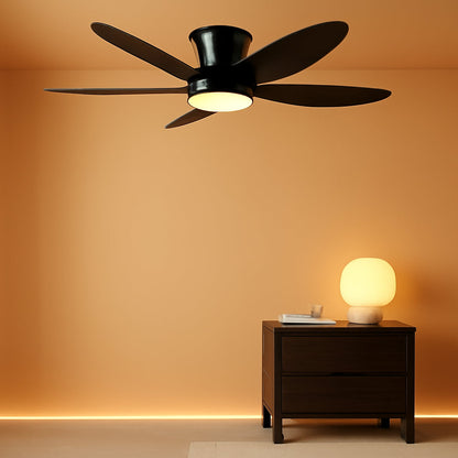 Gust Ceiling Fan